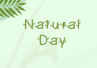 Natural Day Font - Featured Image