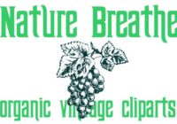 Nature Breathe Font - Featured Image