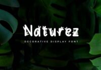 Naturez Font - Featured Image