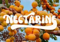 Nectarine Font - Featured Image