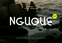 Nguque Font - Featured Image