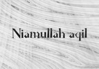 Niamullah Aqil Font - Featured Image