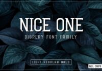 Nice One Font - Featured Image