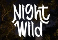 Night Wild Font - Featured Image