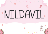 Nildavil Font - Featured Image