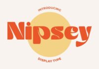 Nipsey Font - Featured Image