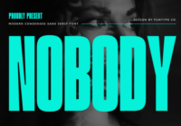 Nobody Font - Featured Image