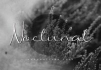 Noctunal Font - Featured Image