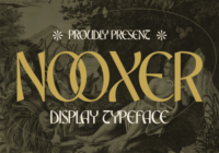 Nooxer Font - Featured Image