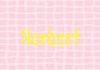 Norbert Font - Featured Image