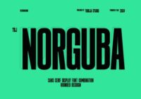 Norguba Font - Featured Image