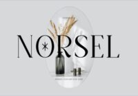 Norsel Font - Featured Image