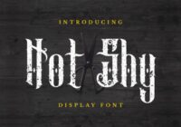 Not Shy Font - Featured Image