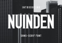 Nuinden Font - Featured Image