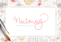 Nutmeg Script Font - Featured Image