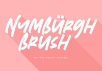 Nymburgh Brush Font - Featured Image