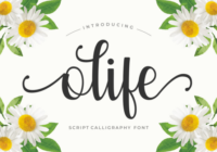 Olife Font - Featured Image
