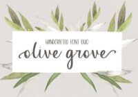 Olive Grove Font - Featured Image