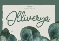 Olliverya Script Font - Featured Image