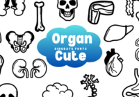 Organ Cute Font - Featured Image