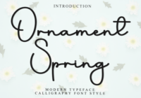 Ornament Spring Font - Featured Image