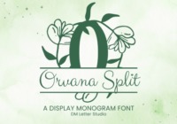 Orvara Split Monogram Font - Featured Image