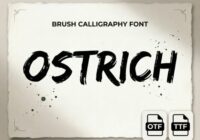 Ostrich Font - Featured Image