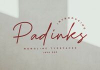 Padinks Font - Featured Image