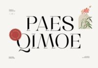 Paes Qimoe Font - Featured Image