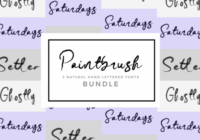 Paintbrush Bundle Font - Featured Image