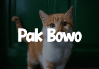 Pak Bowo Font - Featured Image