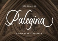 Palegina Font - Featured Image