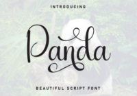 Panda Font - Featured Image