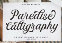 Paredise Calligraphy Font - Featured Image