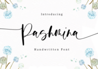 Pashmina Font - Featured Image