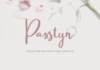 Passtyn Duo Font - Featured Image
