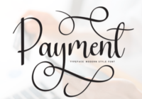Payment Font - Featured Image