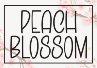 Peach Blossom Font - Featured Image