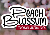 Peach Blossum Font - Featured Image
