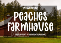 Peaches Farmhouse Font - Featured Image