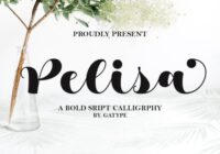Pelisa Font - Featured Image