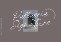 Pellegrie Signature Font - Featured Image