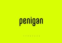 Penigan Font - Featured Image