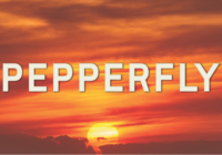 Pepperfly Font - Featured Image