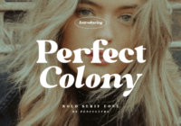 Perfect Colony Font - Featured Image