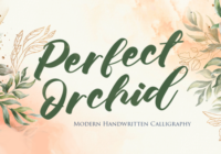 Perfect Orchid Font - Featured Image
