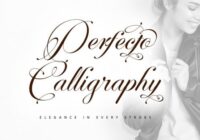 Perfecto Calligraphy Font - Featured Image