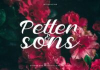 Petter and Sons Font - Featured Image