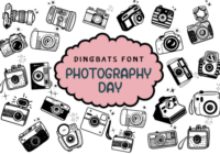 Photography Day Font - Featured Image
