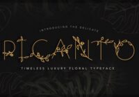 Picanto Font - Featured Image